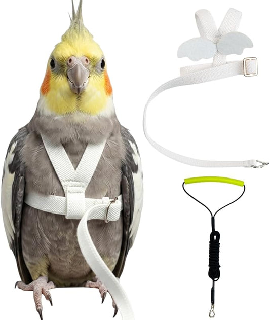 Adjustable Bird Harness with Elastic Leash, Pet Parrot Harness and Leash, Adjustable Training Design Anti-Bite, Bird Nylon Rope with Cute Wing for Conure (White,2M)