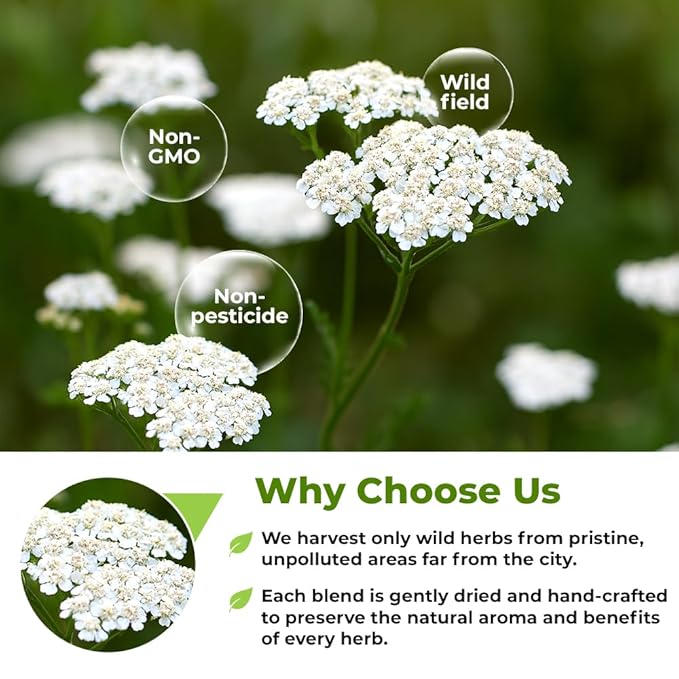 50 Bags Yarrow Herb Dried Yarrow Leaf & Flower Herbal Tea (Achillea Millefolium Tea) - 50 Count 1.5g Bags Herb Tea Milenrama Hojas