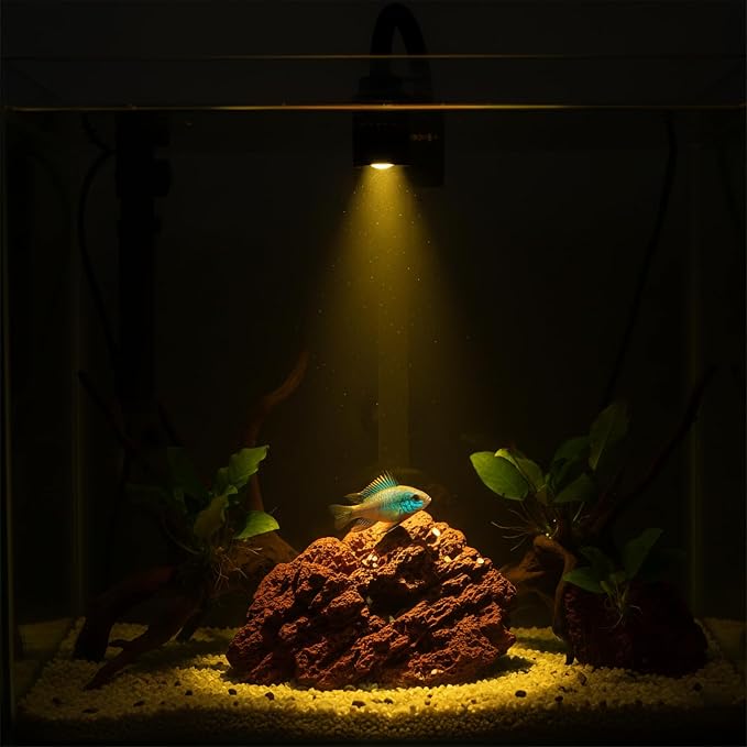 Mini Aquarium Spotlight, Clip-On Gooseneck Lamp, 15°-90° Zoom | Tri-Color White/Warm White/Warm Light, Dimmable 3W USB, 5.2 In Gooseneck, Fits Glass Up To 8mm