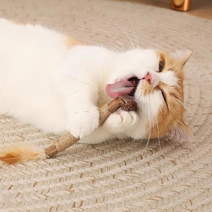 Silvervine Sticks for Cats,Cat Chew Toy for Dental Care,Silver Vine Sticks Cat,Natural Catnip Chew Toys for Kittens Teeth Cleaning,Cat Chew Sticks for Chewers,Edible Matatabi Cat Chew Sticks Toys