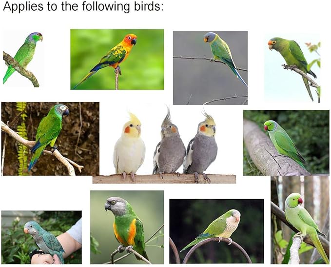 VANFAVORI Adjustable Bird Harness with 80 Inch Leash, Outdoor Flying Training Rope Kit for Bird Parrots S Size Weight 75-110 Grams, One Piece(Colors May Vary)