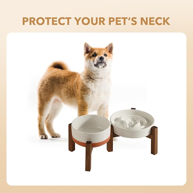 Havniva Elevated Slow Feeder Dog Bowls, 1.2 Cups/7.3 inch Slow Feeders + 6.1 inch Ceramic Dog Food & Water Bowls Set with Acacia Wood Stand Puzzle Bowls for Fast Eater, Small Dogs Anti-Choking