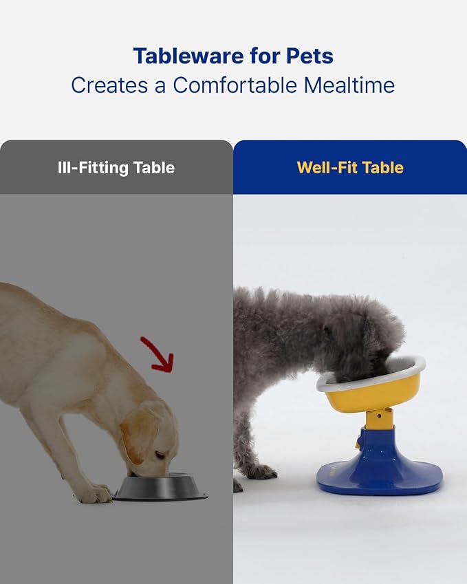 PETHROOM Well Fit Elevated Dog Bowl Stand – Adjustable Height 4.5–7.4 in with 0–22° Tilt, Stable Non-Slip Feeding Stand for Dogs & Cats, Bowl Not Included, Yellow & Blue