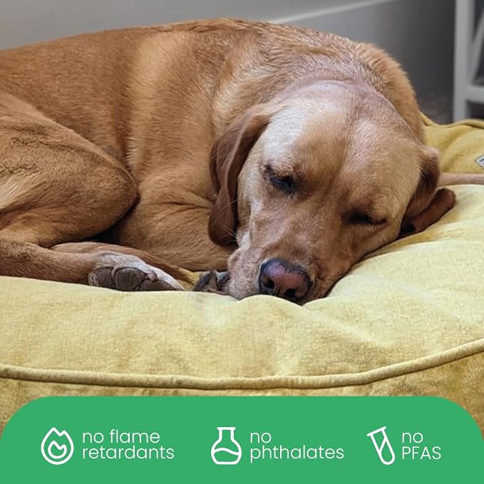 Molly Mutt Elysium Dog Bed Duvet Cover, GOTS-Certified 100% Cotton Canvas Cover for Dog, Puppy, or Cat Bed, Durable, Washable, and Free of Harmful Chemicals, Medium/Large, 27"x36"x5", Yellow