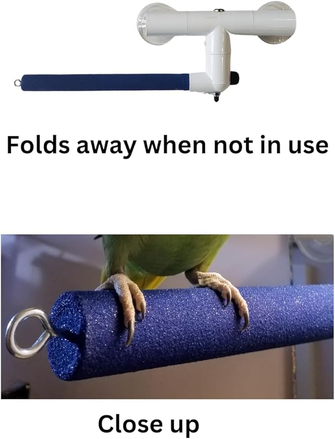 Polly's Portable Window-Shower Perch with Suction Cups for Cockatiels, Macaws, African Greys (Sandy, Small)