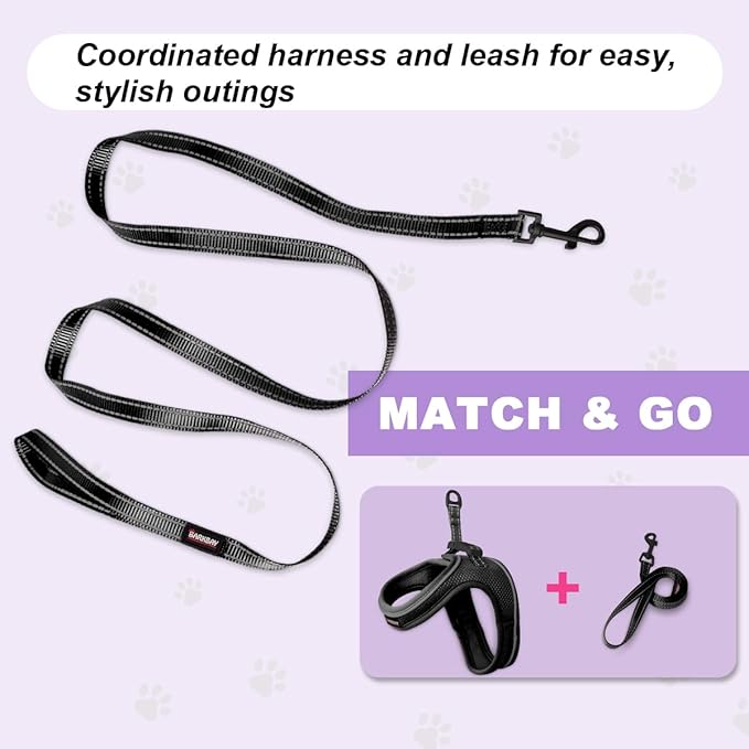 Cat Harness and Leash Set,Escape Proof Kitten Harness,Step in Adjustable Soft Lightweight,Easy Control,Reflective Strips Comfortable for Walking Travel(Black,XXS)