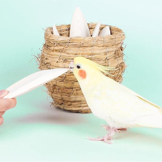 Natural Cuttlebone for Birds Parakeets Canaries Cockatiels Small Conures Mynahs Toucans African Greys All Parrots Snails Totoise (7-7.5 inch,6PCS)