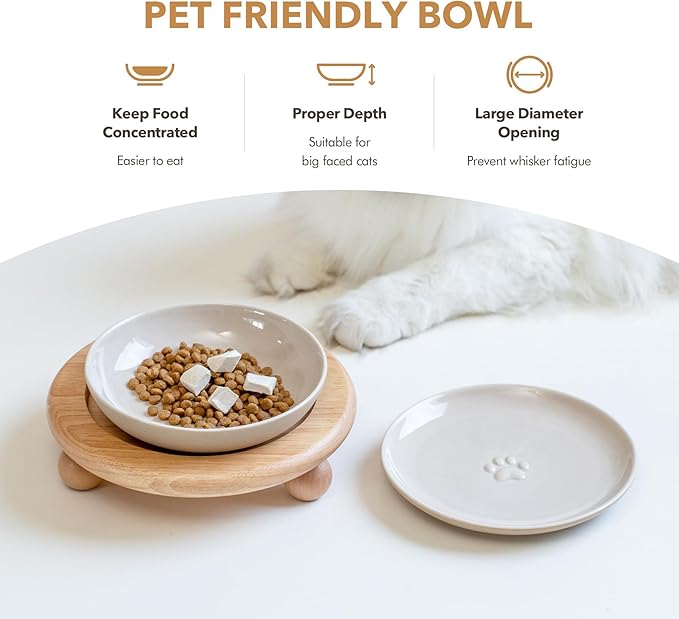 Havniva Elevated Cat Bowls, Ceramic Cat Food Bowl Whisker Friendly Cat Dishes, Kitten Food & Water Bowl with Two Heights Stand, Anti-Slip Raised Cat Food Plates