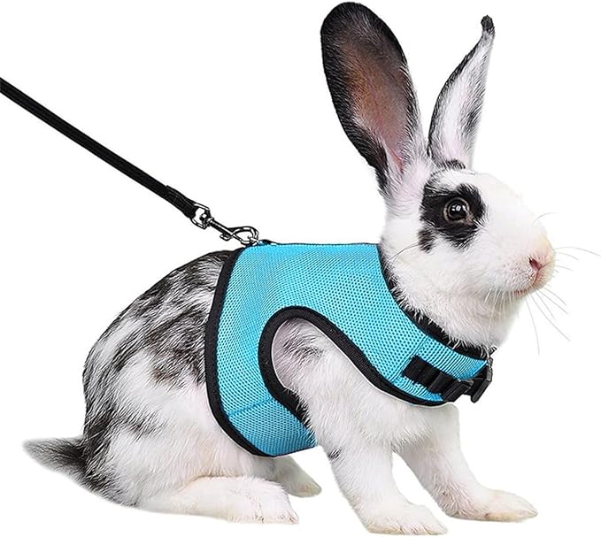 Rabbit Harness and Leash,Guinea Pig Escape Proof Bunny Harness and Leash Set, Cute Bunnies Vest Clothes Stuff Walking Ferret Kitten Puppy Small Pet Animals,Blue M