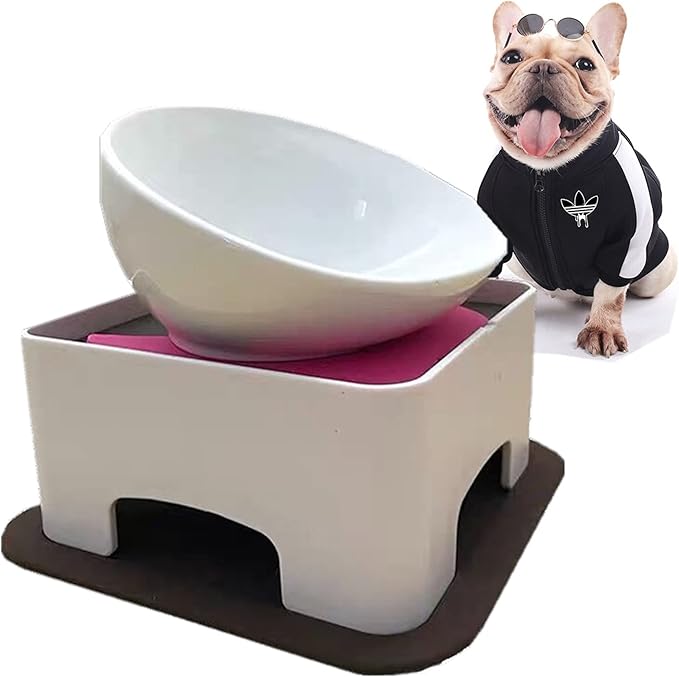Bulldog Bowl Anti-Slip Dog Cat Dish Detachable Dog Bowls Pet Sterile Tilted Pet Feeder Slope Base (White,Ceramic-1.5 Cup