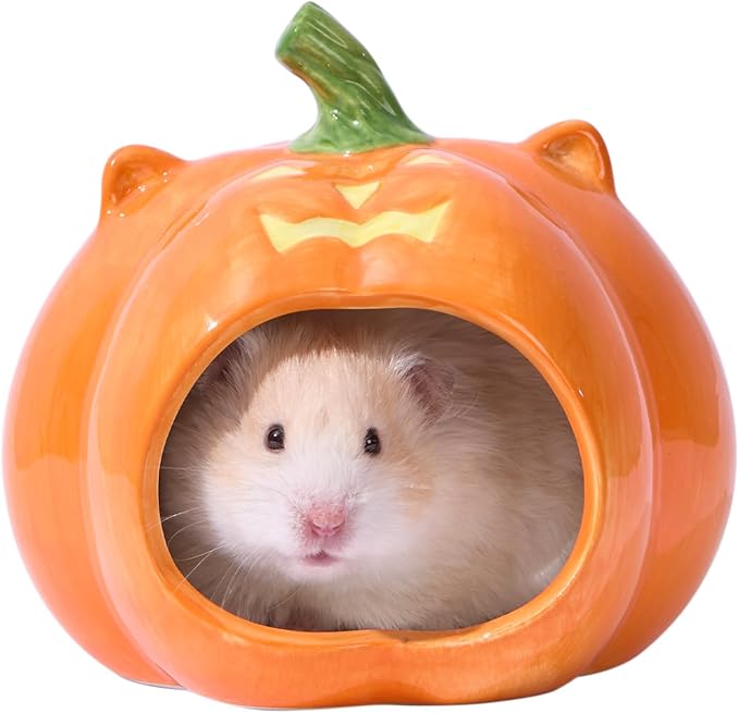 Pumpkin Shaped Ceramic Hamster Hideout - Small Pet House for Syrian Dwarf Hamsters, Gerbils, Mice, Rats