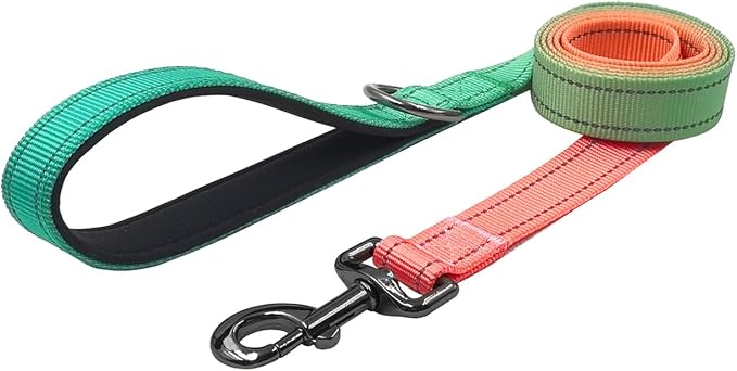 Dog Collar Leash Set, Gradient Color, with Safety Reflective Strips, 5 ft Matching Leash, Neoprene Padded Handle, Adjustable 4 Sizes for Small Medium Large Dogs.(XS, Green Orange)
