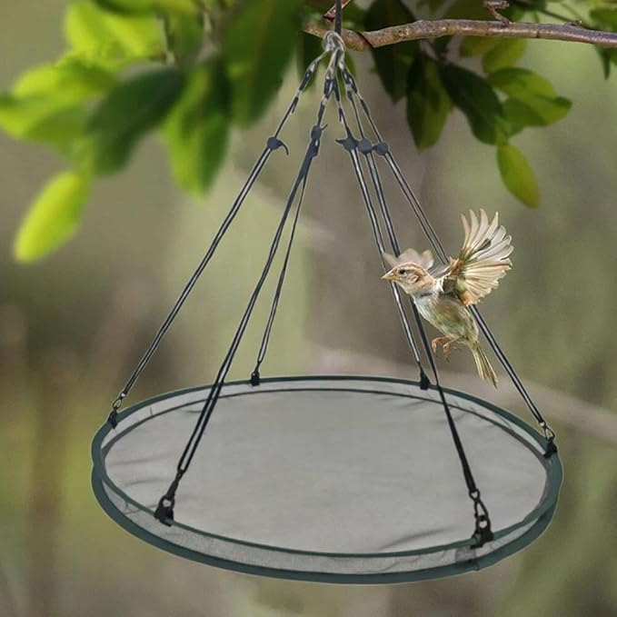 Bird Seed Catcher Tray for Hanging Bird Feeder, Large Outdoor Platform Tray with Adjustable Hanging Hoop, Deep Birdseed Holder for Hummingbird and Bee Feeders in Garden, Lawn, Backyard (S)