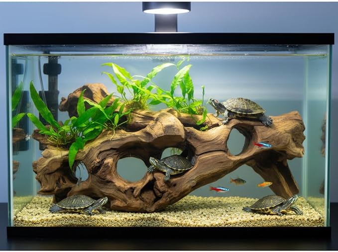 emours Porous Natural Driftwood for Aquarium, Aquascaping Driftwood with Holes, Hand-Selected Tunnels & Hideouts, Aquascaping Hardscape, Terrarium Reptile Décor, No Paint or Resin (16-20" (40-50 cm))