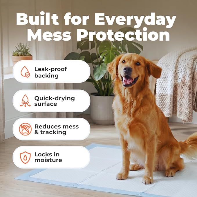 Best Pet Supplies XL (36 x 28 Inches) Puppy Pads 100 Count - Super Absorbent Dog Training Pads, Quick-Dry, Odor Control, Disposable Pee Pads, Leak-Proof Wee Wee Pads for Indoor Dogs – Baby Blue