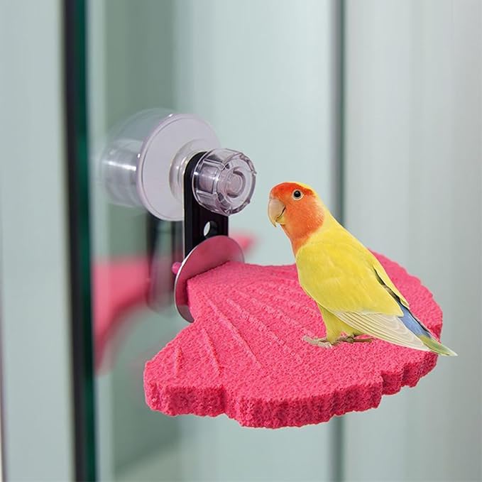 Bird Perch Stands Parrots Calciums Perch Beak Grinding Stone Foot Claws Trimmer Parakeet Platform Parrots Chewing Toy