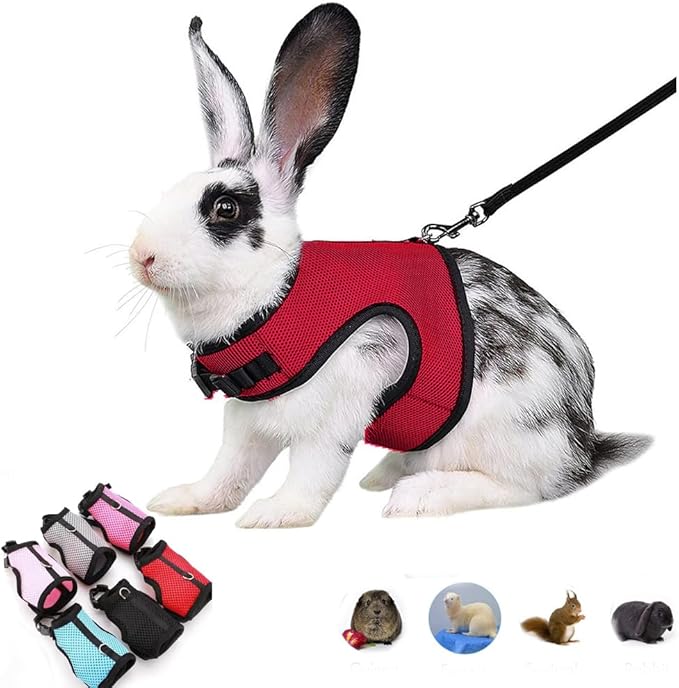 Ferret Harness and Leash Set Escape Proof, Soft Rabbit Mesh Vest Adjustable Buckle for Bunny Guinea Pig Hamster Walking Small Animal Pets Rat, Red M