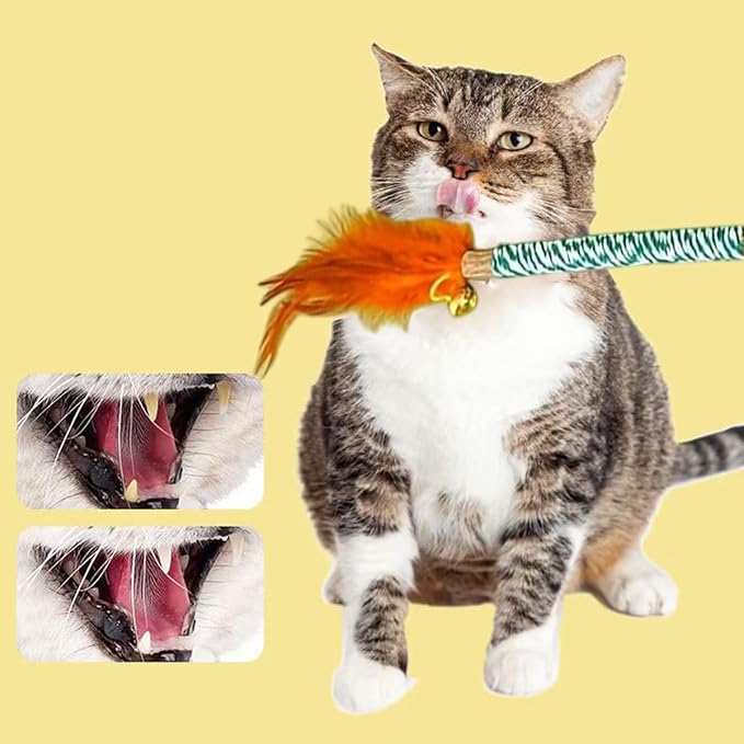 Vintage & Haven ﻿ 4 Pcs Natural Silvervine Sticks Cat Toys, Feather Style, Kittens Chew Toys for Teeth Cleaning, Matatabi Dental Care Cat Treat, Consumable Kitty Lick Toys