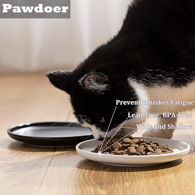 Ceramic Shallow Cat Dish 6 inch, Whisker Fatigue Free Cat Food Bowls, Wide and Small Pet Plate for Kitten and Kitty, Short Legged Munchkin Cat