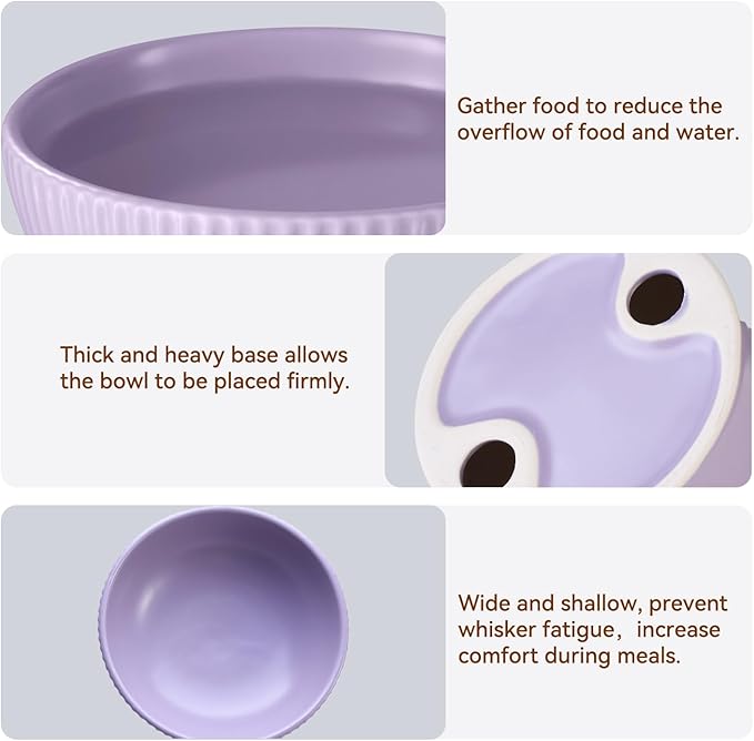Ceramic Elevated Cat Bowls-Water Bowl, 15° Tilted Design, Anti-Vomiting & Spine Protection, Prevent Whisker Fatigue for Kittens to Adult Cats and Small Dogs (Yellow-Elevated Cat Bowls-2)