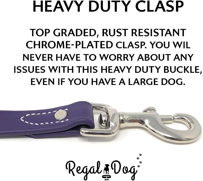 Regal Dog Products Small Purple Waterproof Dog Collar and Leash Set | Heavy Duty Double Buckle & D Ring - 5'ft Leash | Adjustable Biothane Dog Collar | Chew Resistant Waterproof Collar for Dogs