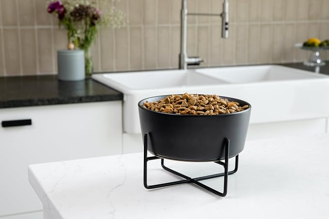 Waggo Simple Solid Dog Bowl and Dog Bowl Stand - Single Iron Stand with Single Ceramic Feeder or Water Bowl (Dolphin, Small)