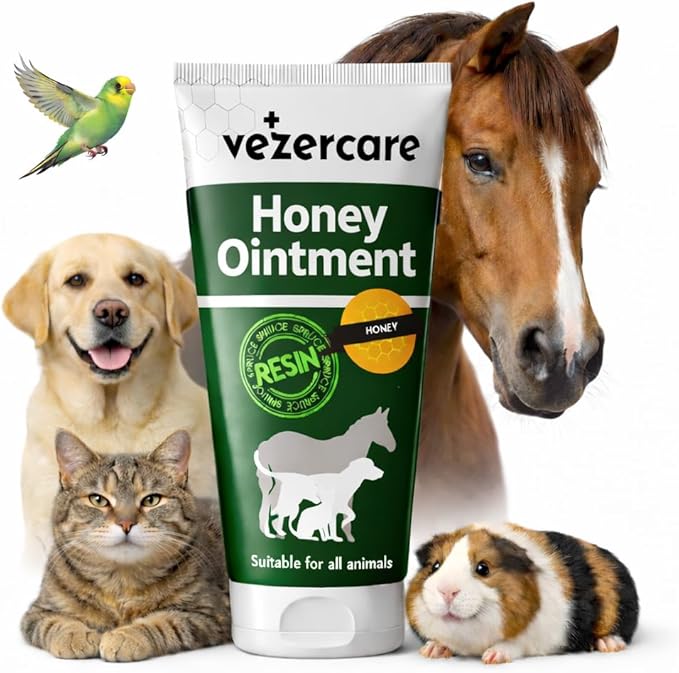 Honey Balm Ointment with Spruce Resin for Dogs, Cats & Horses, Natural Wound Care Gel, Hot Spot Treatment, Itchy Skin Relief, Dog and Cat Wound Care, 1.7oz, Made in Finland, Antifungal & Steroid Free
