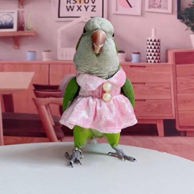 Bird Costume Bird Diaper Flight Suit Parrot Velvet Fleece Skirt Clothes Cosplay Photo Prop for Conure Lovebird Parakeet Cockatiel Macaw Small Animals Apparel (White,XX-Large)