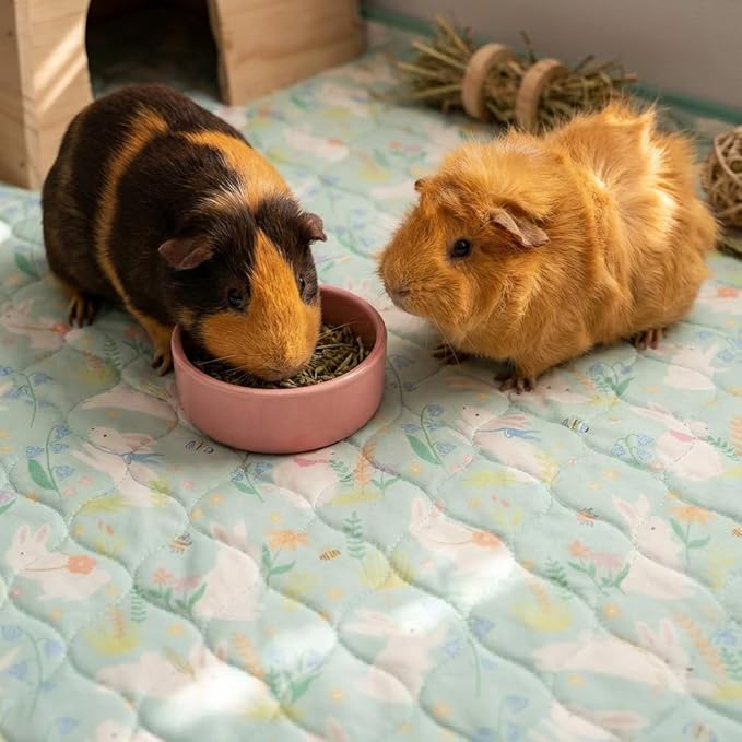 Guinea Pig Bedding, Guinea Pig Fleece Cage Liner 49x24 2Pack, Washable Waterproof Reusable & Anti Slip, Absorbent Guinea Pig Pee Pad for Small Animal, Rabbit, Bunny, Chinchilla, Green