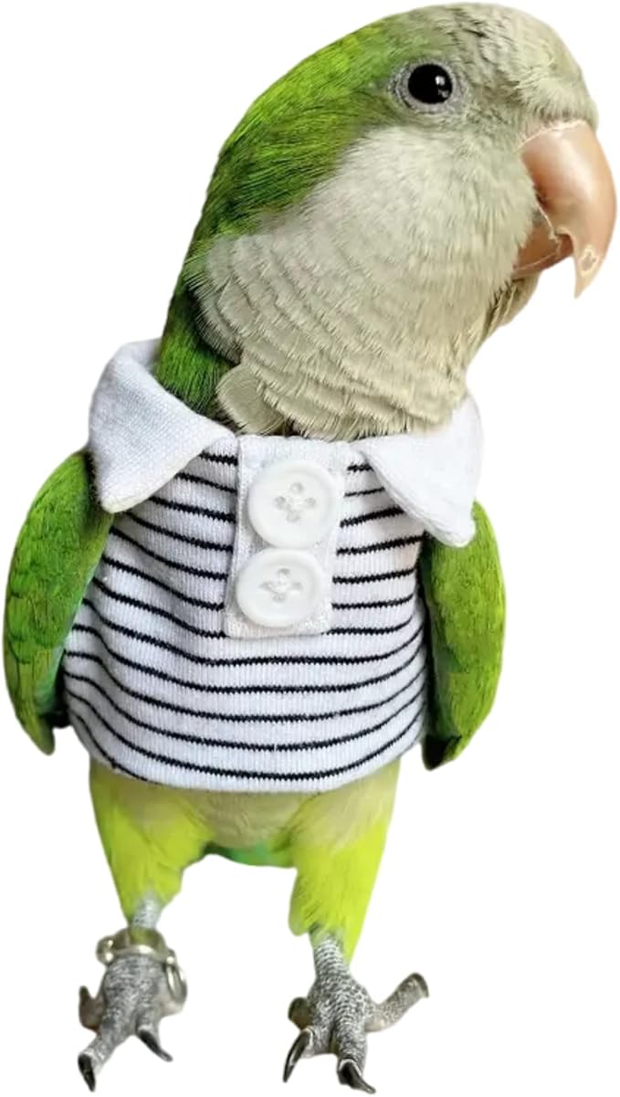Bird Diaper Flight Suit for Parrots, Lovebirds, Parakeets & Cockatiels - Summer Clothes Cosplay Photo Prop - Small Animal Apparel with Diaper
