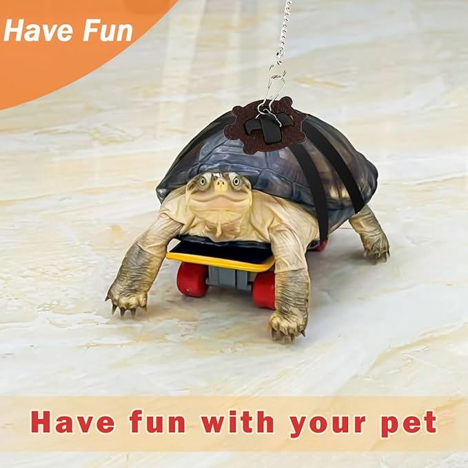 Tortoise Mini Skateboard and Orange Treat Ball set Tortoise Toy Feeding Balls Vegetable Grass for Small Animals Pets Encourages Foraging Behaviors,Mini Skateboard Keeps Pets Entertained (Blue)