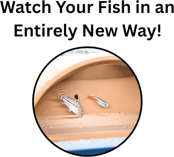 Aquarium Underground Tunnel Cave Natural Curve | Viewing Fish & Shrimp Under Gravel Tunnel | Fish Tank Decor Decoration Hideout Perfect for Corydora Catfish, Kuhli Loach, Pleco (Brown)