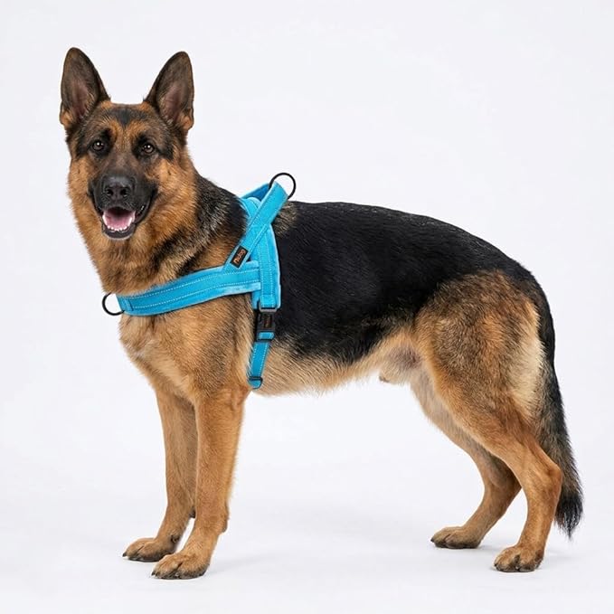 Didog Soft Flannel Padded Dog Vest Harness, No Pull/Quick Fit Reflective Dog Strap Harness, Easy for Training Walking (L:Chest 26-32", Blue)