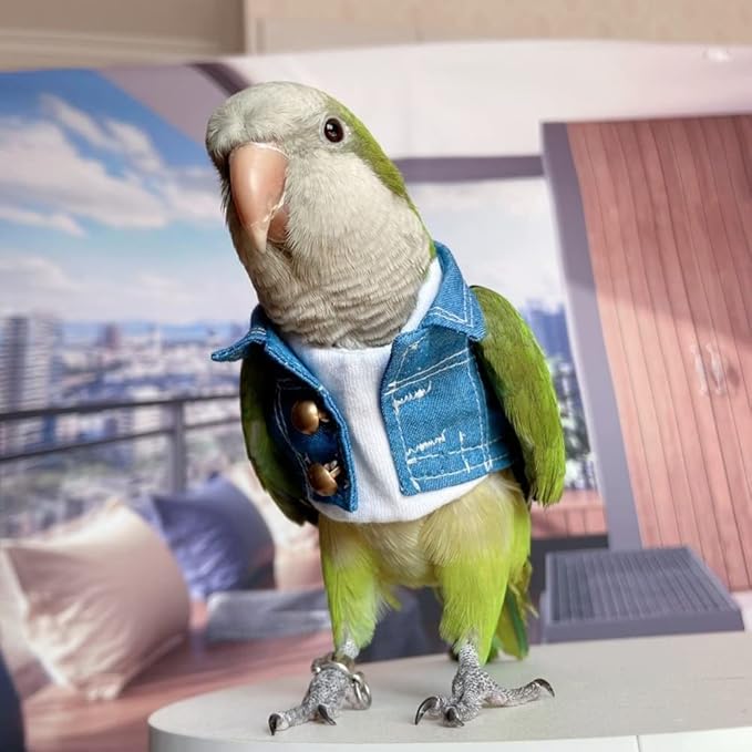 Bird Costume Bird Diaper Flight Suit Bird Jeans Fake Two Pieces Bird Clothes Cosplay Photo Prop for Parrots Lovebird Parakeet Cockatiel Small Animals Apparel (Without Diaper,Macaw)