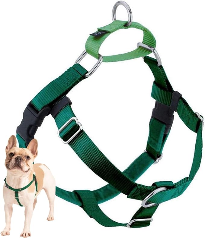 2 Hounds Design Freedom No Pull Dog Harness, Adjustable Harness, Easy Walking & Comfortable Control, Fits Small, Medium & Large Dogs, Solid Colors, Made in USA, 1" XXL, Kelly Green