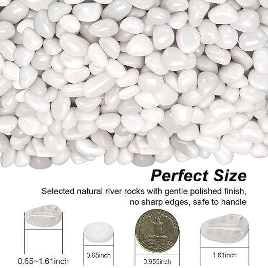 Fish Tank Rocks,Landscaping Pebbles,Decorative Ornamental Pebbles Garden,Landscaping Stones Gravel Filler for Home Decoration Flower Bed Fish Tank Plants Vases Succulents (5 Pounds, White)