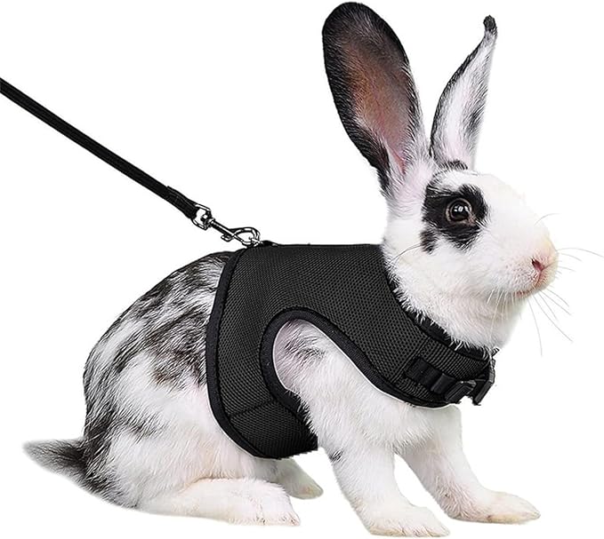Rabbit Harness and Leash,Guinea Pig Escape Proof Bunny Harness and Leash Set, Cute Bunnies Vest Clothes Stuff Walking Ferret Kitten Puppy Small Pet Animals,Black L