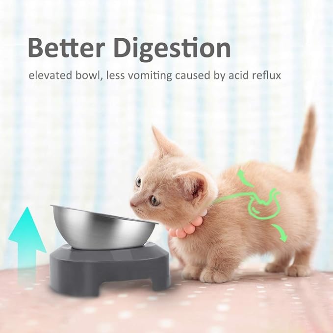 AYADA Dedicated Replacement Cat Bowl for Raised Cat Food Bowl, Base Not Included Elevated Stainless Steel 0-15° Slanted Kitty Kitten Pet Dish for Wet Food Water Anti Vomiting