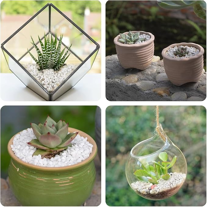 1.1 LB White Succulent Cactus Soil Cover Gravels, Decorative Small Rock | Indoor Plants,Natural Stones for Aquarium Fish Tank,Grow Media Cultivation Hydroponic Pebbles,2-5mm