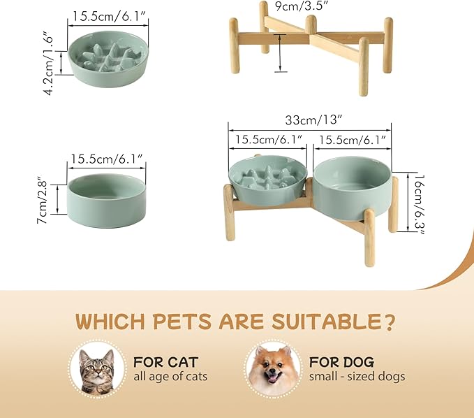 Havniva Ceramic 0.9 Cup Raised Slow Feeder Dog Bowl Set, Elevated 6.1inch Slow Dish and 6.1inch Water Bowl with Wooden Stand for Small Dogs (2 x Light Green+ Stand)