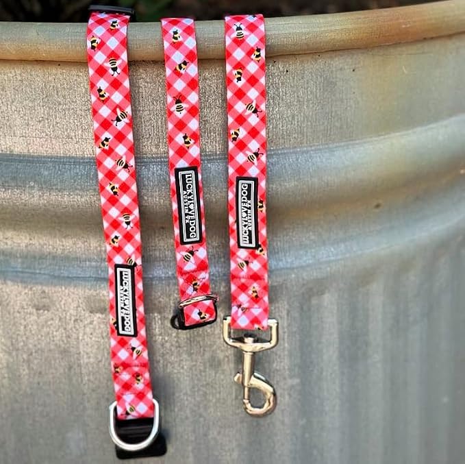 Lucky Love Dog - Easy Click Buckle Dog Collar with Leash Set Combo, Durable & Comfortable for Male & Female Dogs, Pet Collar for Large Dogs, Secure Fit - Bailey Combo, Large