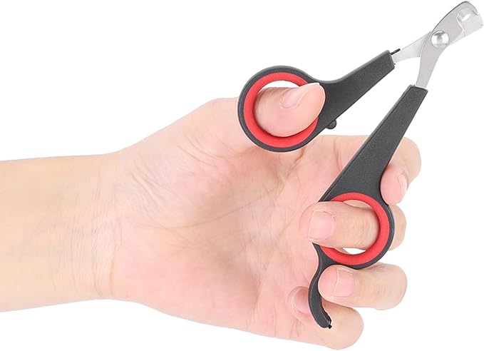 Bird Nail Clippers, Stainless Steel Small Animal Nail Clippers, Half Moon Pet Nail Scissors, Plastic Handle Pet Nail Clipper Scissors, Clipper Bird Grooming for Small Parrot Birds