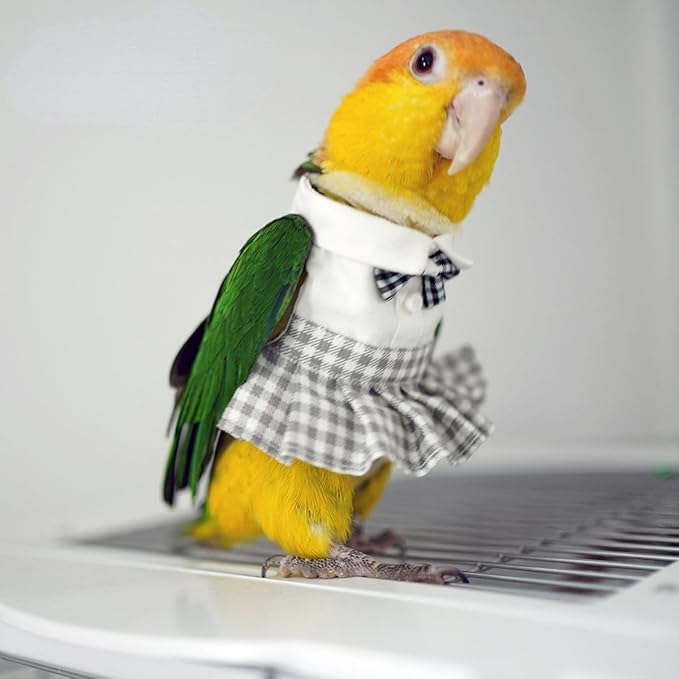 Bird Costume Bird Diaper Flight Suit Cute JK Dress Dress Skirt Clothes Cosplay Photo Prop for Parrots Macaw Cockatoo (Without Diaper,2M)