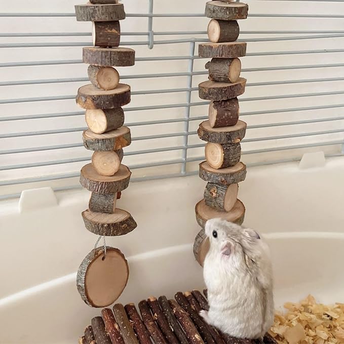 3pcs Small Animal Chews Toy,Natural Apple Wood,Block Cage Hanging Molars Treats Snack for Hamsters Rabbits Bird Chinchilla Squirrels for Halloween Holiday (Small Round Wood Model)