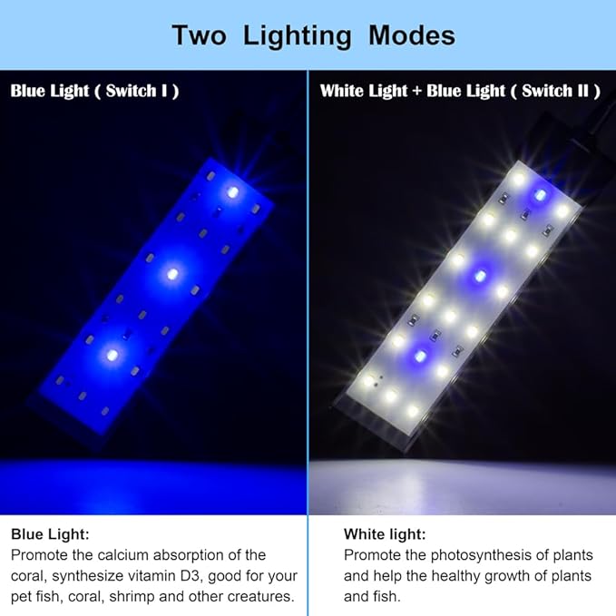 DaToo Aquarium Light Small LED Clip Light for Fish Tank 7W, 1 Yr Warranty