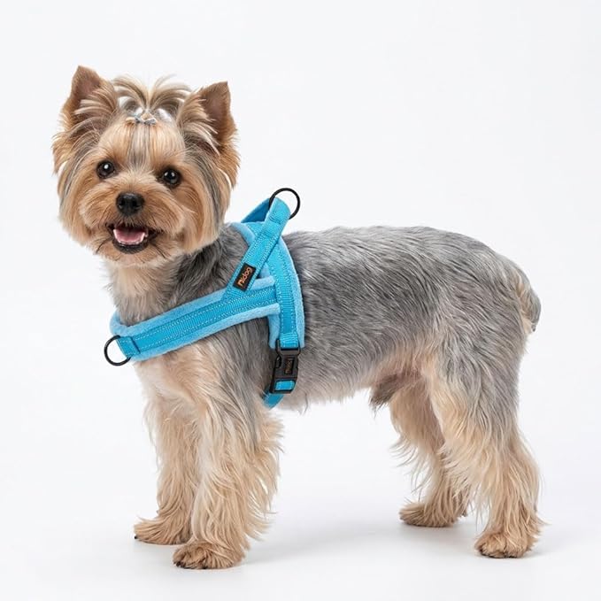 Didog Soft Flannel Padded Dog Vest Harness, No Pull/Quick Fit Reflective Dog Strap Harness, Easy for Training Walking (XXS:Chest 12-15", Blue)