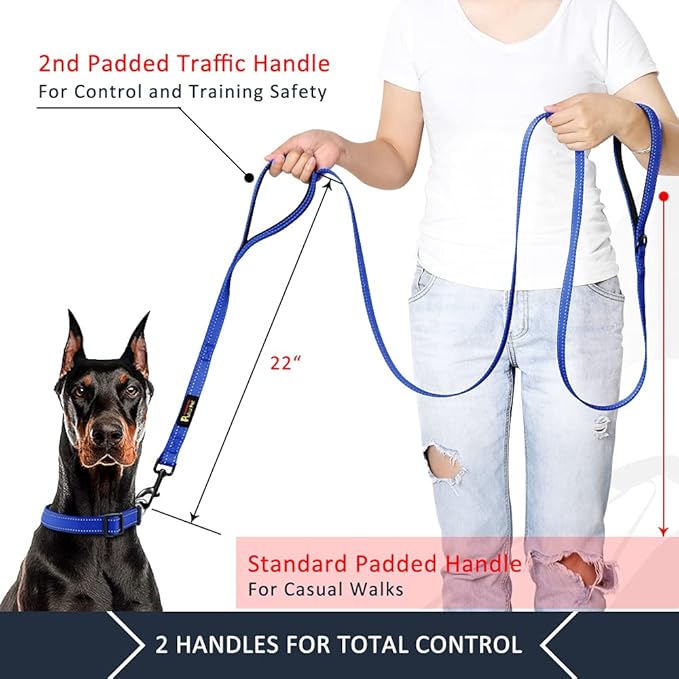 Plutus Pet Double Handle Dog Leash 5ft, Heavy Duty, Reflective Dual Handle Dog Leash for Safety Training, for Medium Large Dogs,2 Handle Leads(Navy Blue)