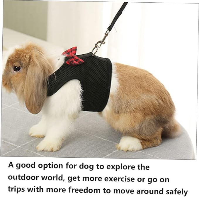 Kisangel Breathable Mesh PET Harness for Small Animals Vest Type Pulling Rope for Rabbits Guinea Pigs and Squirrels Adjustable and Comfortable PET Vest