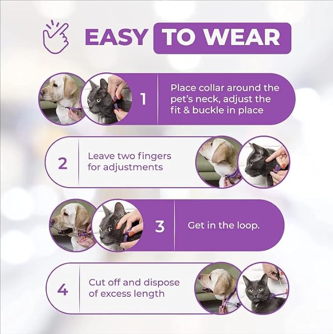 Calming Collar for Cats, Long-Lasting Pheromone Collar Helps for 60 Days, Designed to Reduce Stress and Anxiety, Helps Cats and Kittens Calm, Loud Noises, and Separation, 2 Count