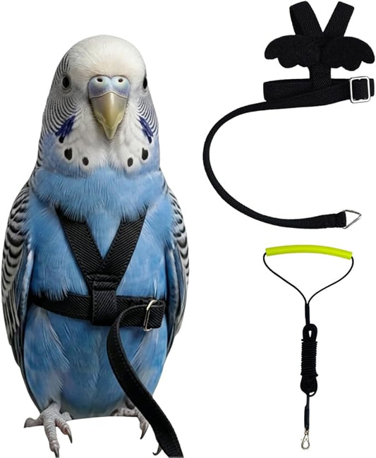 Adjustable Bird Harness with Elastic Leash, Pet Parrot Harness and Leash, Adjustable Training Design Anti-Bite, Bird Nylon Rope with Cute Wing for Conure (Black,XS)